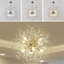 Ahyaan Chandelier