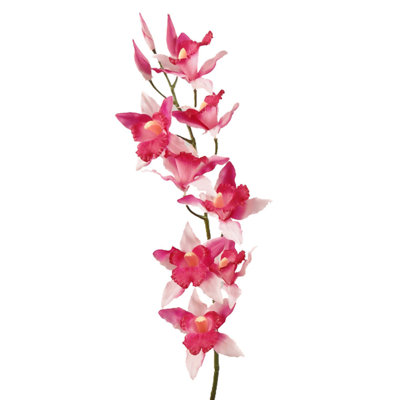 Orchid Arrangement