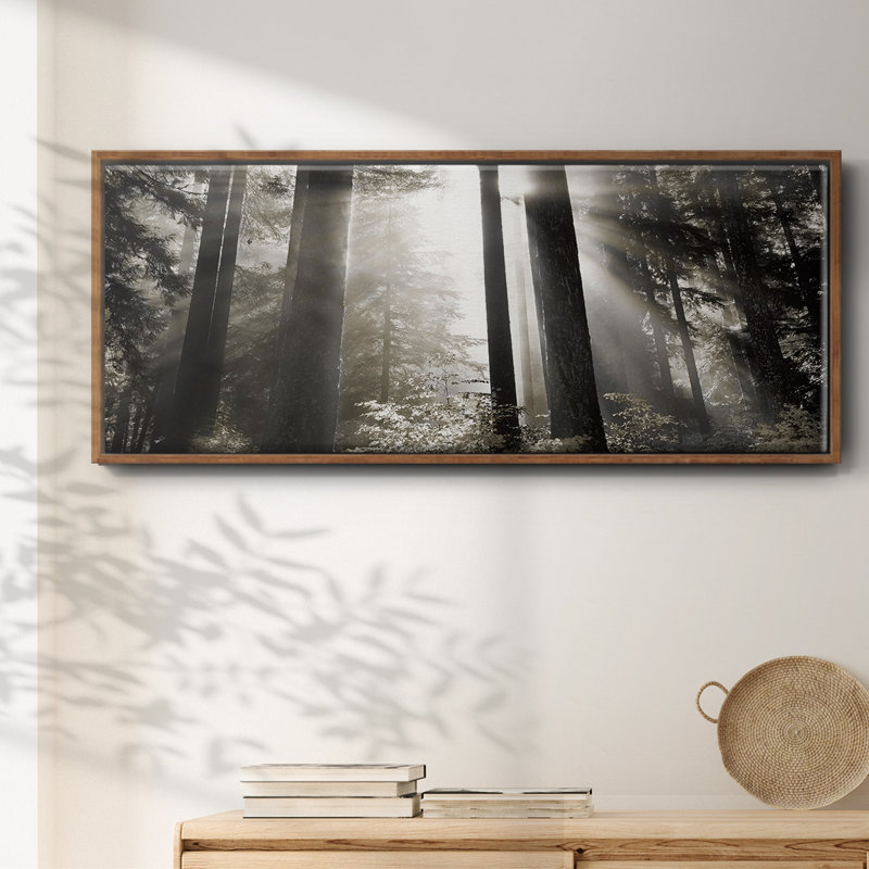 Morning Light- Framed Canvas