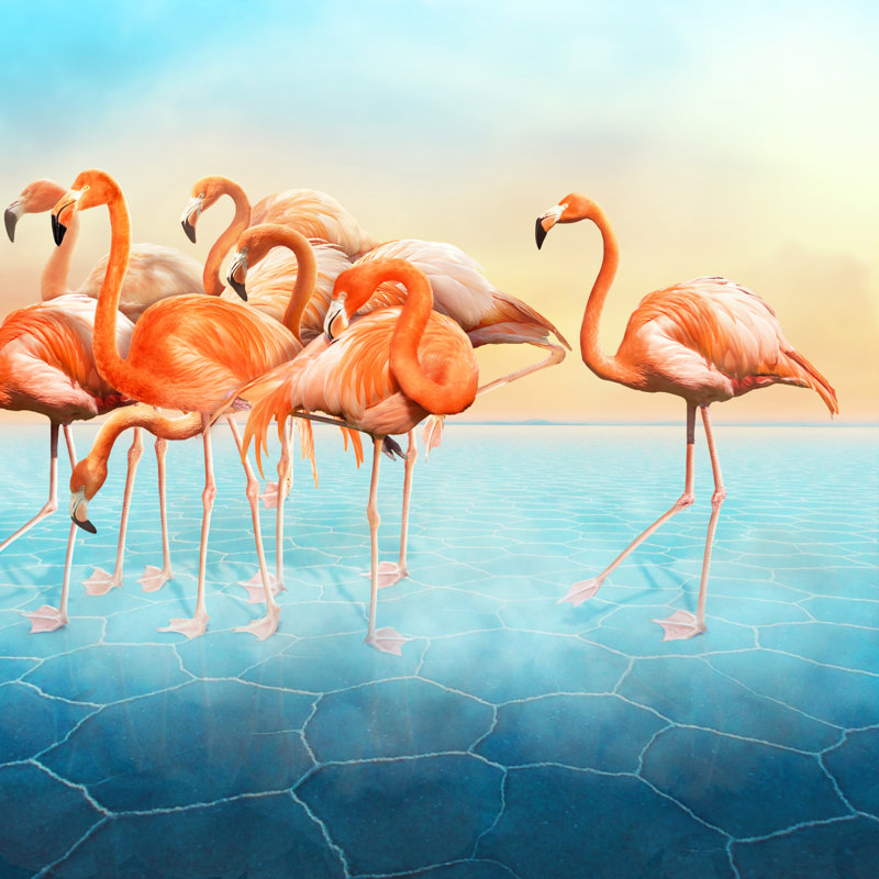 Beautiful Photo Manipulation with Flamingo At Left Side 1 Piece Wrapped Canvas Wall Art, 30cm H x 30cm W x 3.8cm D