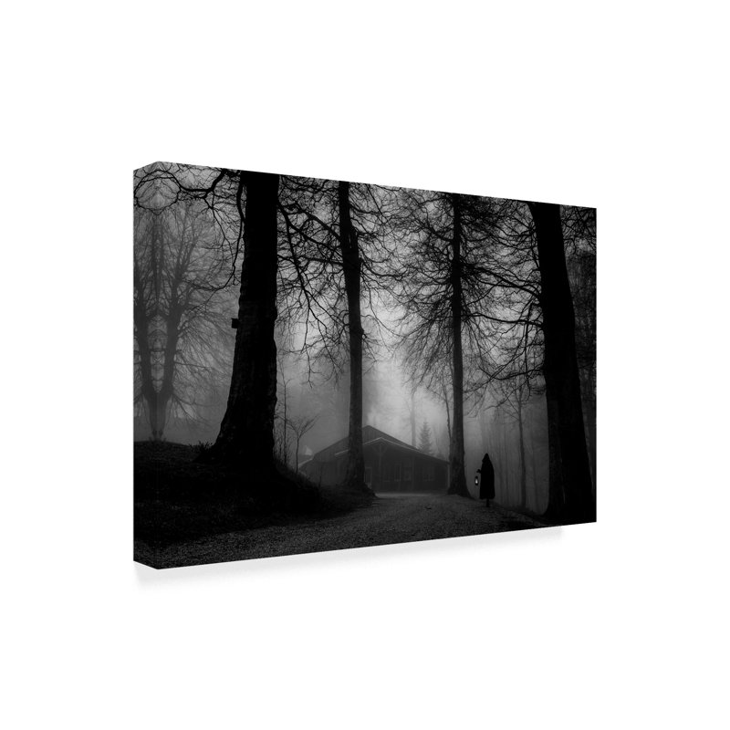 «Fog II» par Leeven, reproduction de photo sur toile tendue, H 12 po x l 19 po x P 2 po