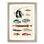 East Indies Fish Illustrations Fol. 3 by Louis Renard - Picture Frame Painting Print-55547275-55547276