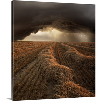 Straub " Approaching Storm " by Franz Schumacher