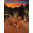 5CCT Low Voltage LED Deck Light, 12-24V AC/DC Aluminum Landscape Deck Step Light, CRI 90, Oil Rubbed Bronze