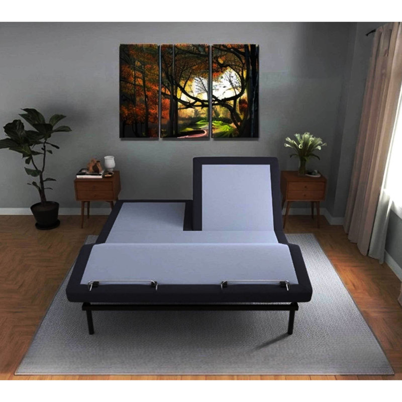 Adjustable Bed Base For Queen Bt3000 - Head And Foot Adjustable, Wireless Remote Control, 2 Programmable Positions, Ports, , 3 Preset Intense Massage, Led Lighting, Battery Box, 31 Legs Blue + Grey