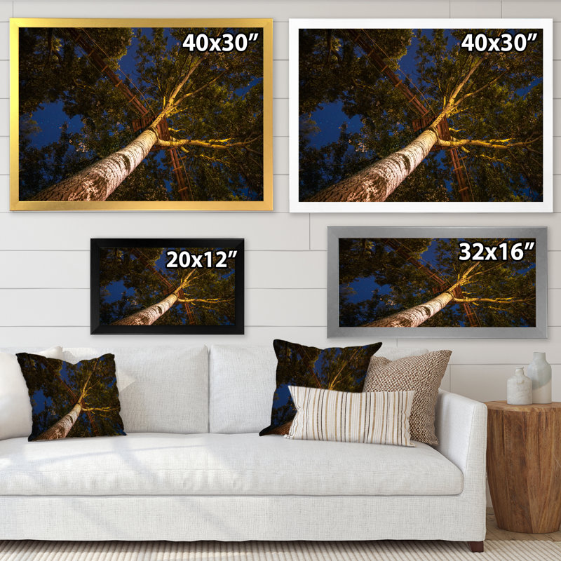 Faible angle de vue des arbres avec une allée - reproduction sur toile, H 34 po x l 44 po, Cadre photo argenté