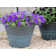 Sagamore Planter