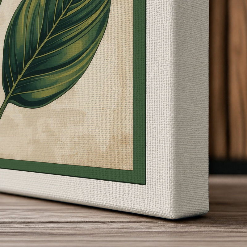 Study Botanical - Wrapped Canvas, 30x20 - 76.2 x 50.8 cm, Cream Border