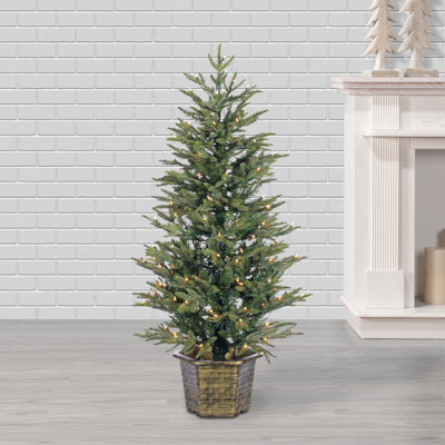 Potted 4.5' Pre-Lit Pine Christmas Tree