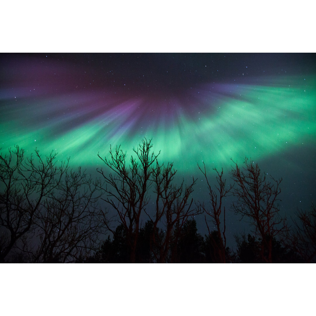 Nordlichter von KristofferVaikla - Leinwanddrucke