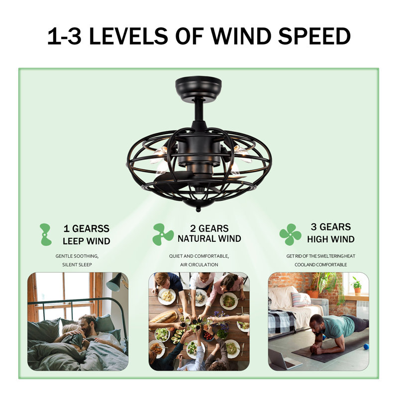 Ventilateur de plafond en cage de 18,1 po avec télécommande, minuterie, ventilateur de plafond intérieur à 3 vitesses pour maison de campagne, salon de chambre à coucher (sans ampoules incluses)