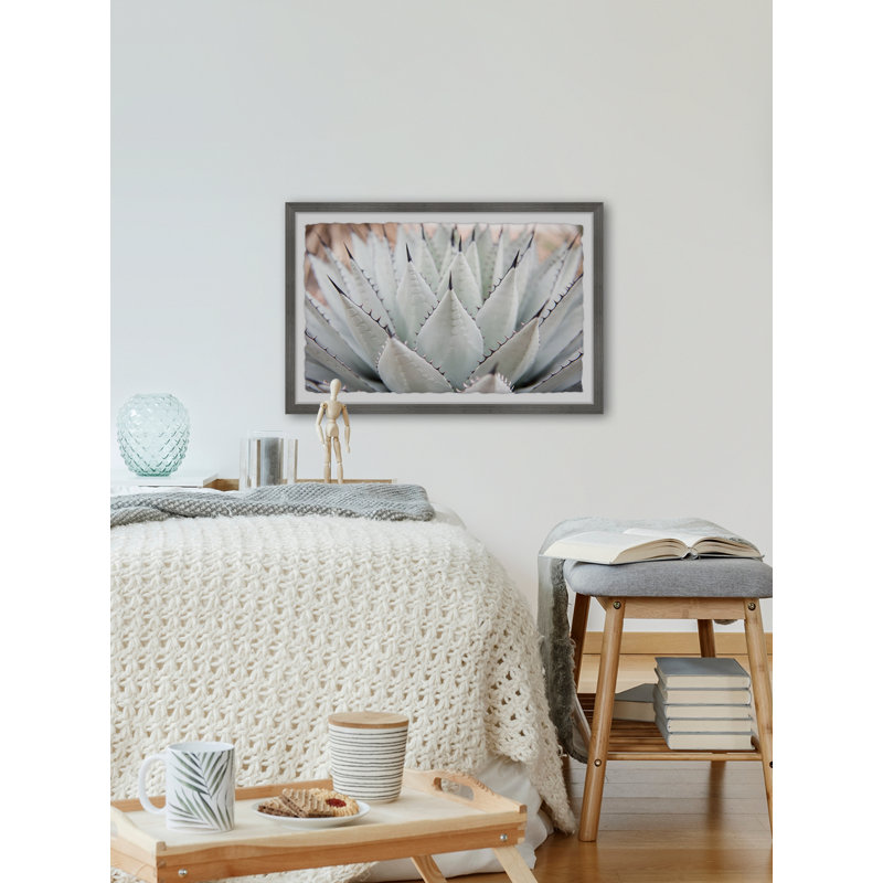 Parry's Agave - Single Picture Frame Painting, 20 cm H x 30 cm W