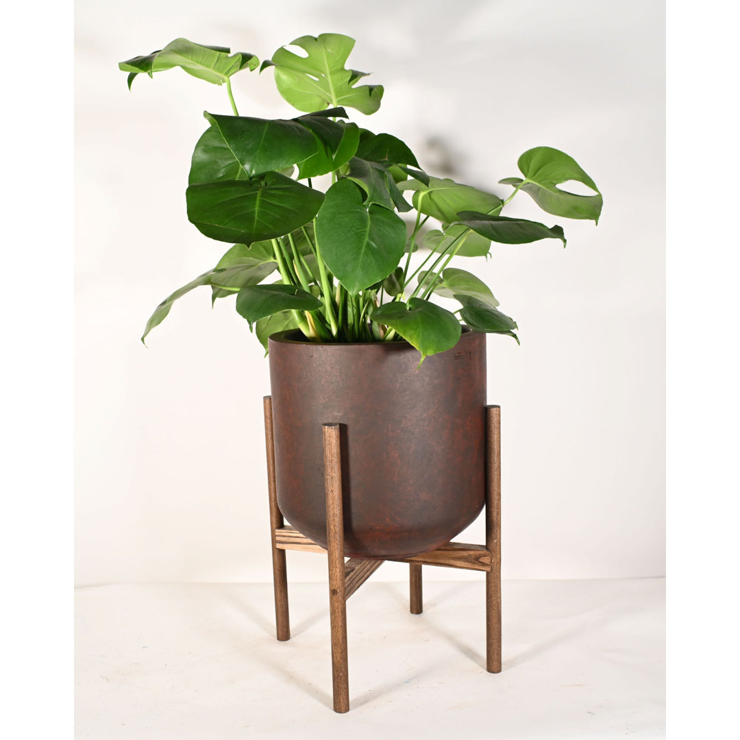 Mathieson Clay Pot Planter Corrigan Studio®
