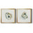 " Old Salt Shell I " 2 - Pieces-1278254916-1217792531-1288361239