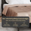 Duvet-2137551745