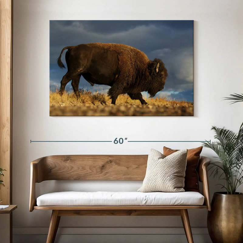 Roux marchant le bison d'Amérique, H 32 po x l 48 po