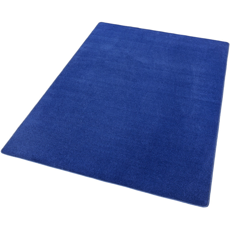 Fancy Tufted Blue Rug, Rectangle 80 x 150cm