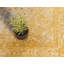 Tapis oriental jaune-214031170