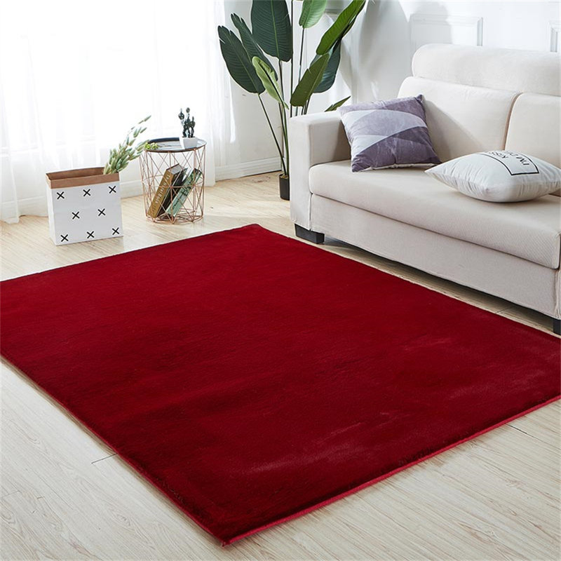 Indoor Rug
