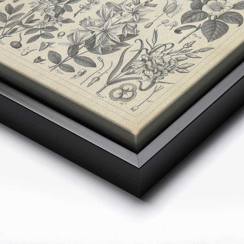 Plantes ornementales en culture, Black Framed, Canvas, 18"H x 24"W