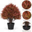 24 " H Faux Cedar Topiary in Plastic Pot