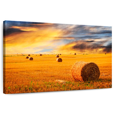 Alvord Hay Bale At Sunset
