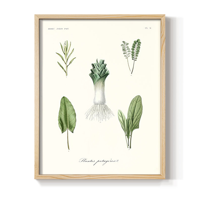 Fruit & Vegetable Varieties I Framed Print - Solid Wood, Natural, 11" H x 9" W