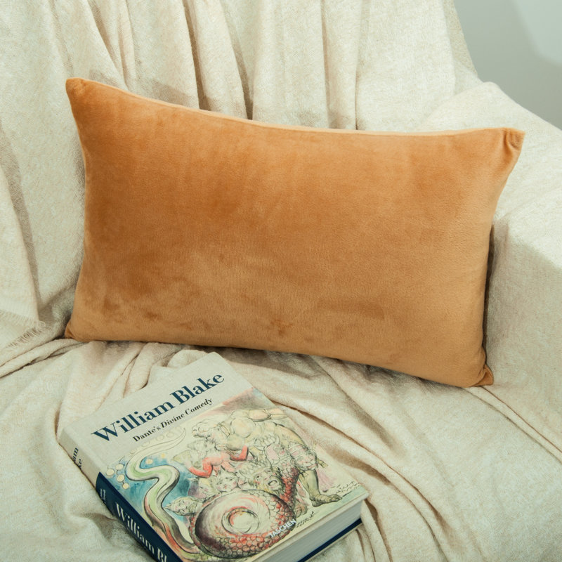 Zippered Pillowcases, Luxury Velvet Flannel Pillow Cases, Super Soft - NTBAY, 20"  x 36, Camel