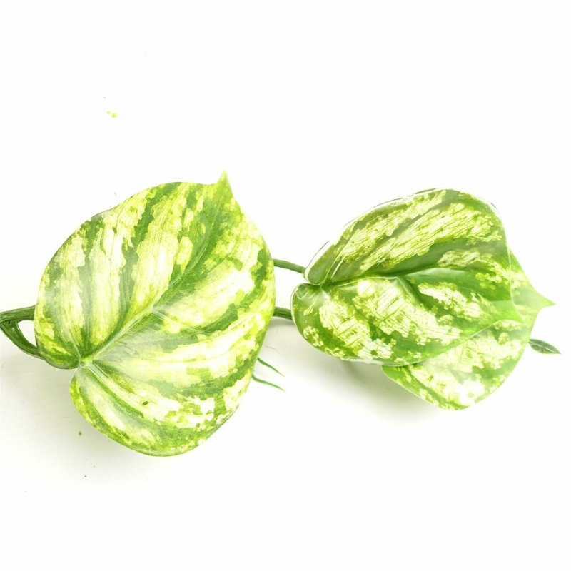 Hanging Plants 180cm Faux Ivy Plant