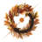 24"D Fall Multi-Colored Sorghum Wreath Includes A Complimentary Black Metal Wreath Hanger