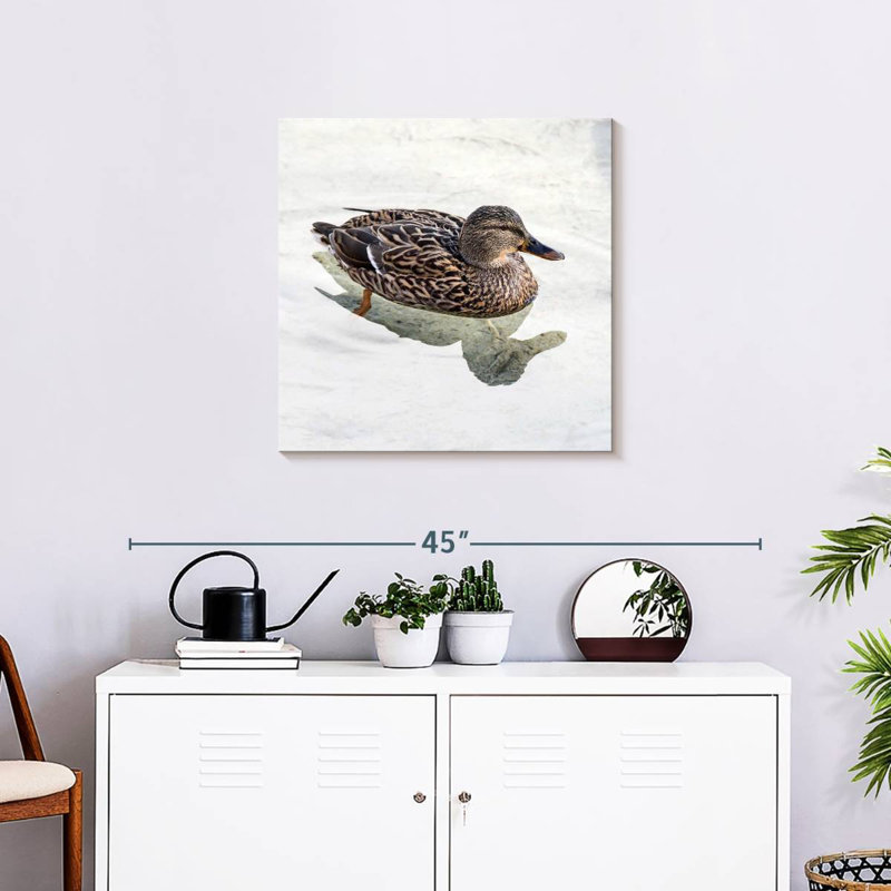 Canard colvert femelle, H 24 po x l 24 po