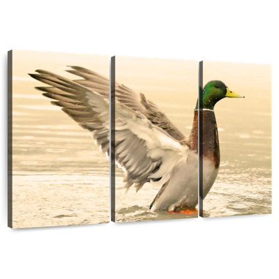 Brampt Majestic Mallard Duck