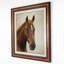 Stallion Print