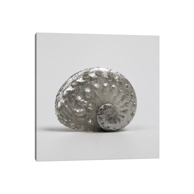 Beachside Treasure IV 1 Piece Wrapped Canvas Wall Art, 93.98 cm H x 93.98 cm W x 1.91 cm D