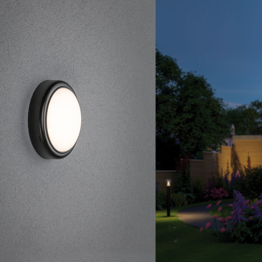 Outdoor Basic Anthracite 6.6cm H Integrated LED Outdoor Armed Sconce