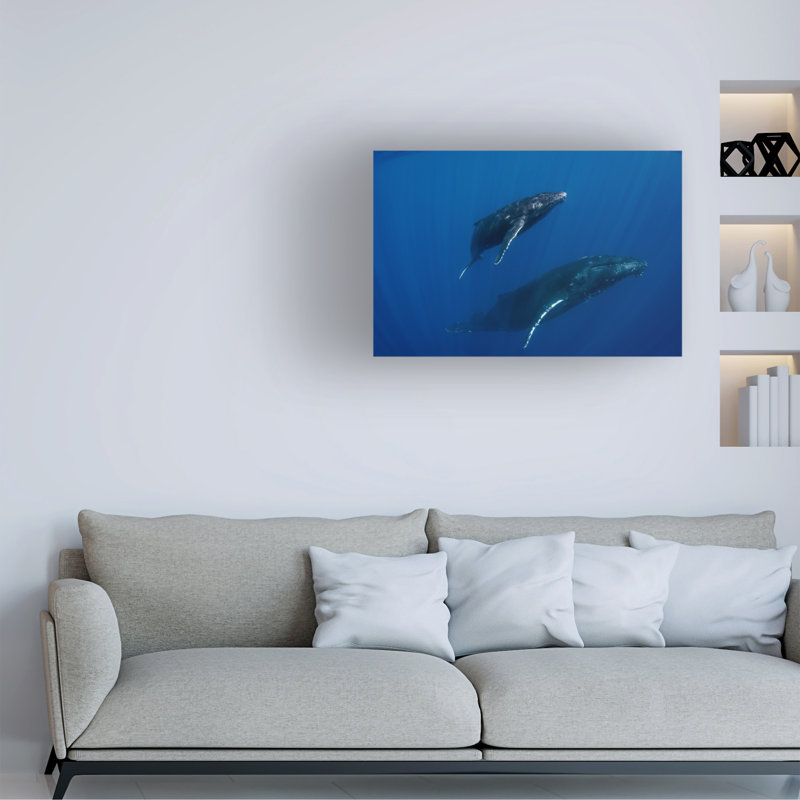 Cedric Peneau Humpback Whales Reunion Canvas Art, H 12 po x l 19 po