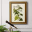 Toile encadrée de qualité supérieure Olive Greenery VI - prête à être accrochée-1407422566