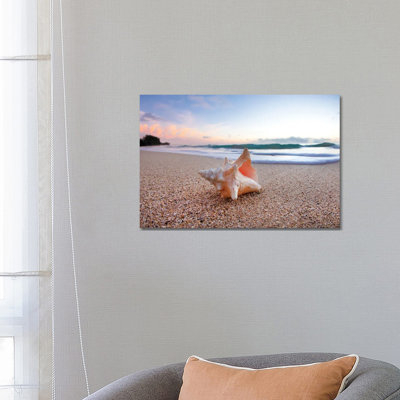 Shell Surprise by Sean Davey - No Frame Gallery-Wrapped Canvas Giclée on Canvas