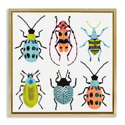 Beetles & Bugs Collection Floating Frame, design by Metka Hiti