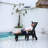 Outdoor Patio Lounge Chair, With Wood Texture, Oversized Chaise Lounge Chair With 5 Positions, HDPE, With Wheels And Cup Holder-566341765
