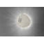Onn Wall Sconce