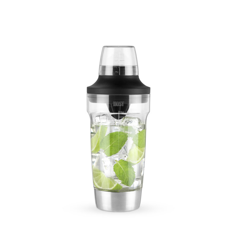 Stainless Steel and Clear All-in-One Cocktail Shaker Set