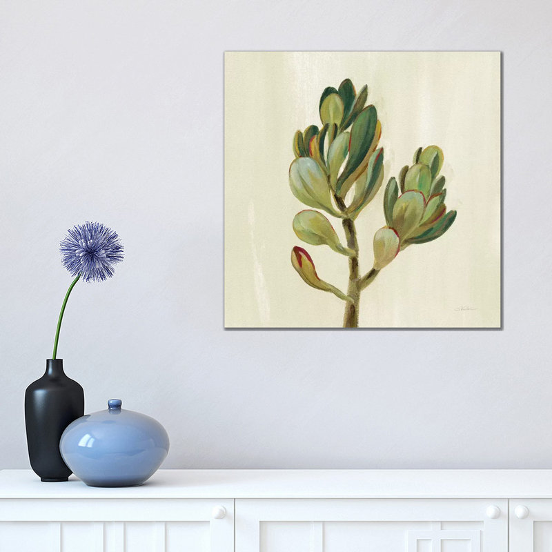 «Front Yard Succulent II» par Silvia Vassileva - reproduction d'art, H 18 po x l 18 po x 1,5 po, Toile tendue, Pas de tapis
