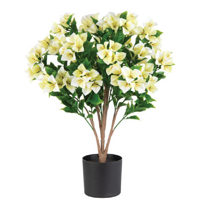  Bougainvillée artificiel crème 24 po, convient à une utilisation intérieure et extérieure