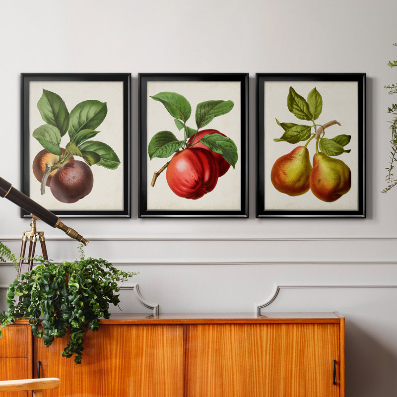Antique Fruit IX - Ensemble de 3 impressions sur toile encadrées, Toile avec cadre noir, H 26,5 po x l 109,5 po x P 1,5 po
