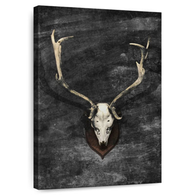 Kerner Trophy Deer Skull