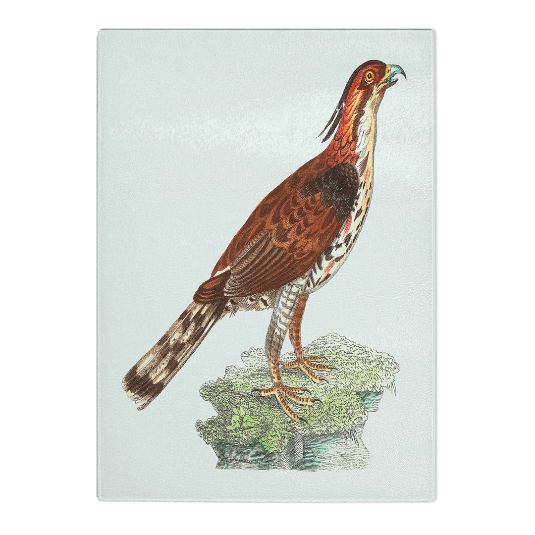 Tempered Glass Falcon by George Shaw Chopping Board