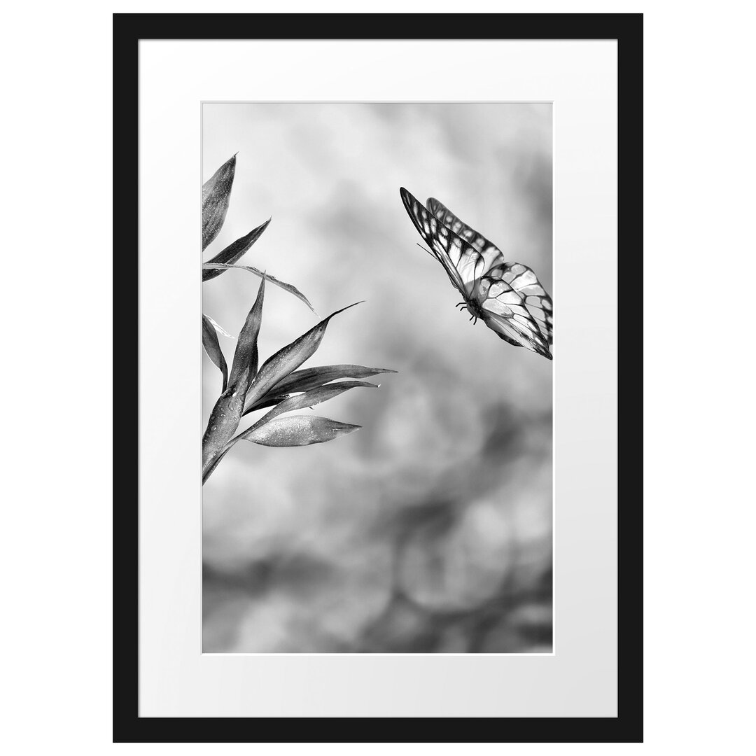 Gerahmtes Poster Bambus mit Schmetterling