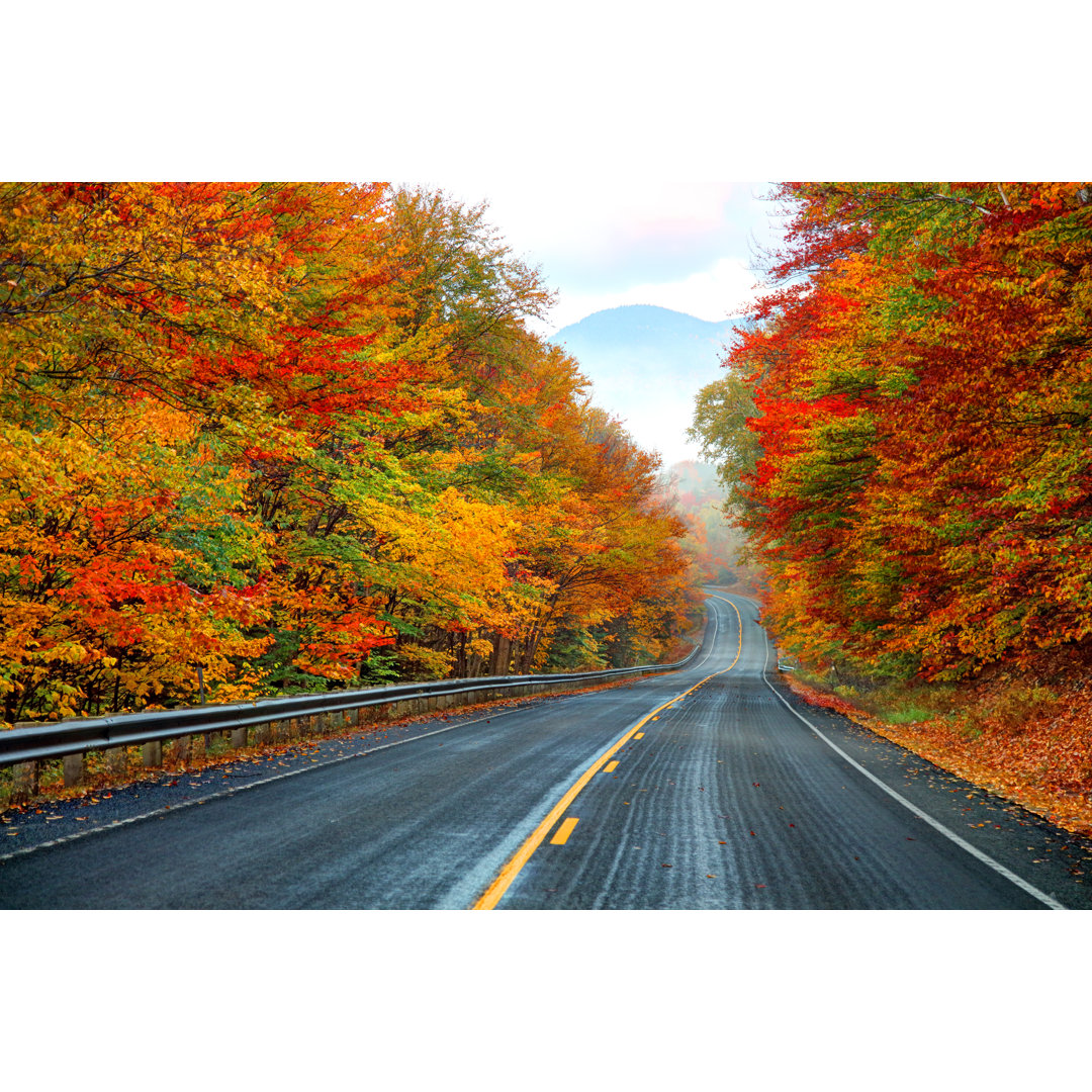 Autumn On The Kancamagus Highway von Denistangneyjr - Leinwanddrucke