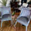 Customer photo 3 of 3